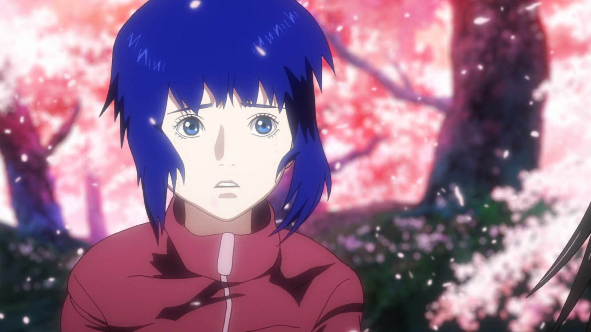 Ghost in the Shell: Arise (poxitron)